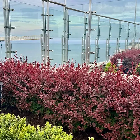 аркадия ! жк атмосфера ,панорама моря ,паркинг Appartamento