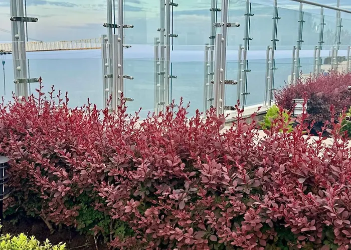 аркадия ! жк атмосфера ,панорама моря ,паркинг アパート